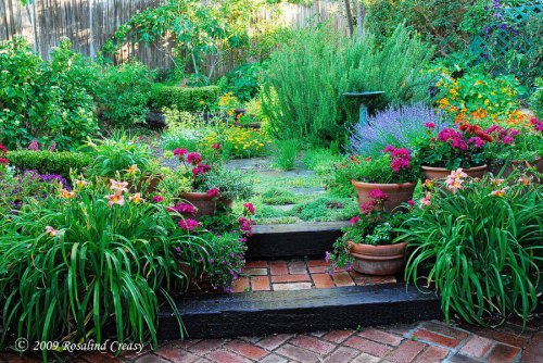 Rosalind Creasy's Backyard Herb Garden